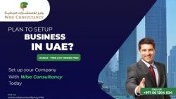 Business Setup in Dubai Mainland