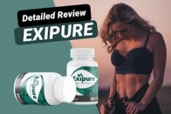 Exipure – Weight Loss Pills That Work or Cheap Brand?