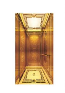 Fh H09 Luxury Golden Hairline Stainless Steel Home Elevator