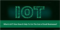 What Is IoT? How Does It Help To Cut The Cost Of Small Businesses?
