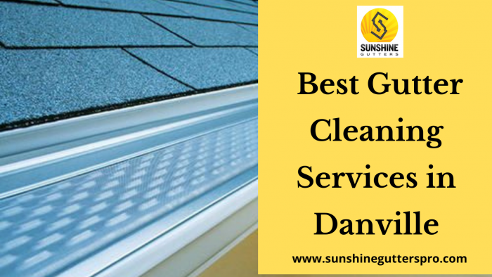 Best Gutter Cleaning Services in Danville