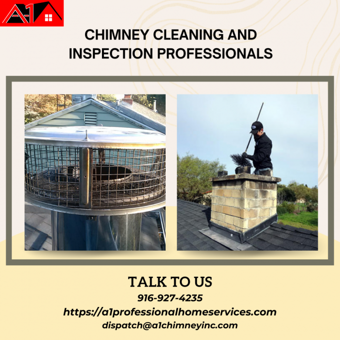 Chimney Cleaning and Inspection Professionals