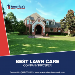The best lawn care company in prosper