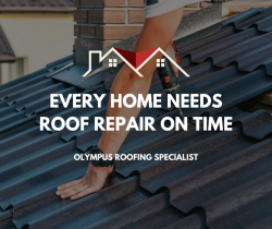 Every Home Needs Roof Repair On Time