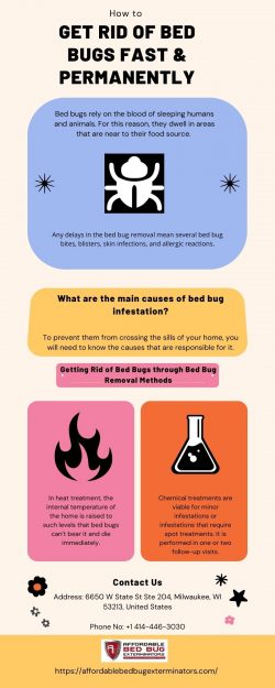 How to Get Rid of Bed Bugs Fast & Permanently?
