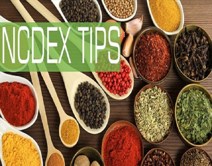 NCDEX Guar Seed Tips