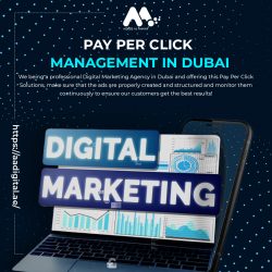 Award-winning agency for Pay Per Click Management in Dubai