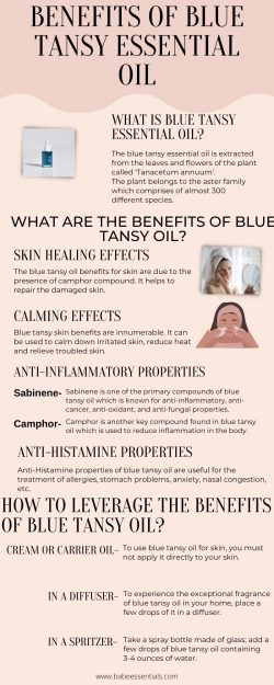 Benefits Of Blue Tansy Essential Oil