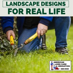 Professional Commercial Lawn Care Services