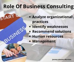 Role Of Business Consulting
