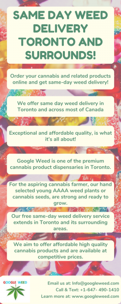 SAME DAY WEED DELIVERY TORONTO AND SURROUNDS!