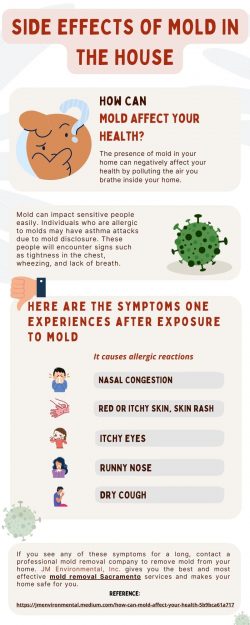 Side Effects Of Mold In The House