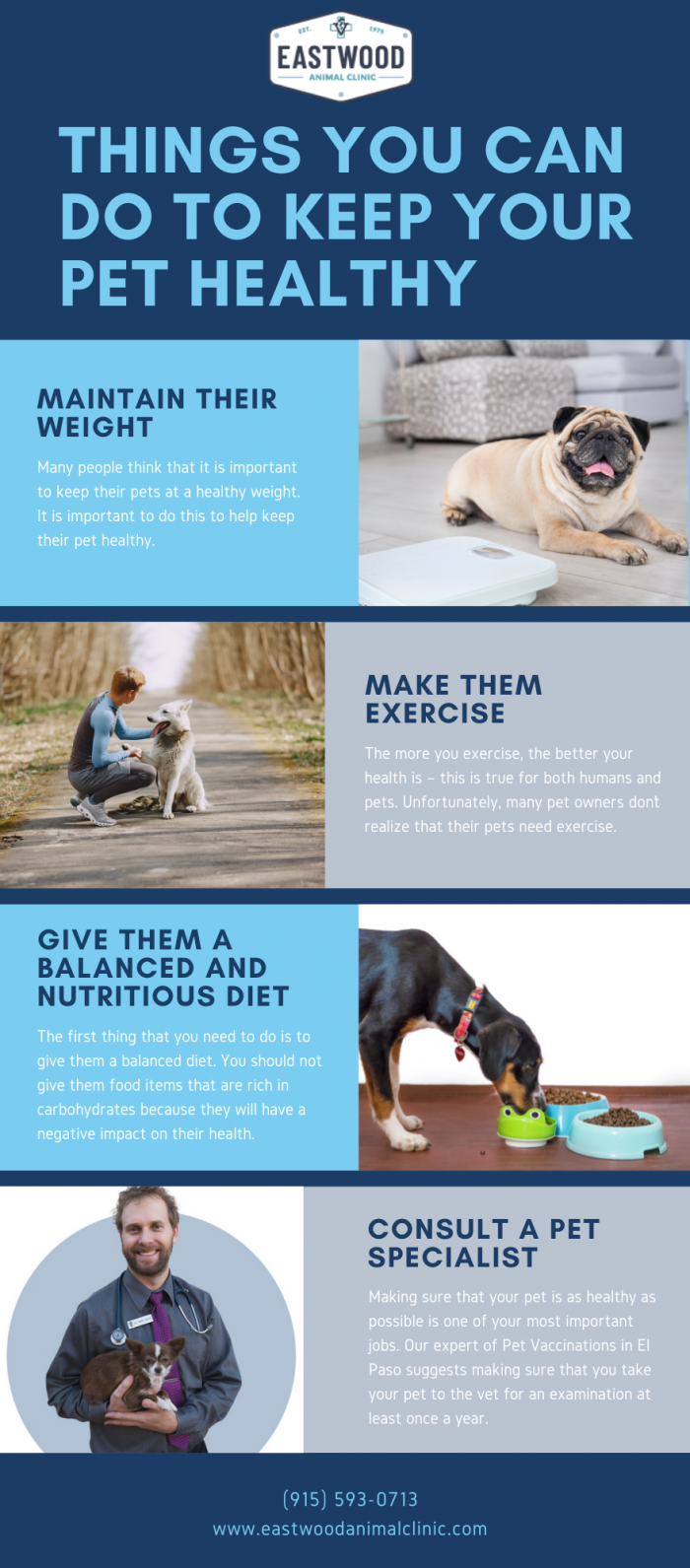Things You Can Do to Keep Your Pet Healthy