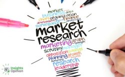 Best Market Research Company in India