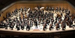 Famous Orchestra Musicians You Must Know : Interlude