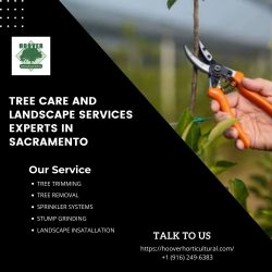 Tree Care and Landscape Services Experts in Sacramento