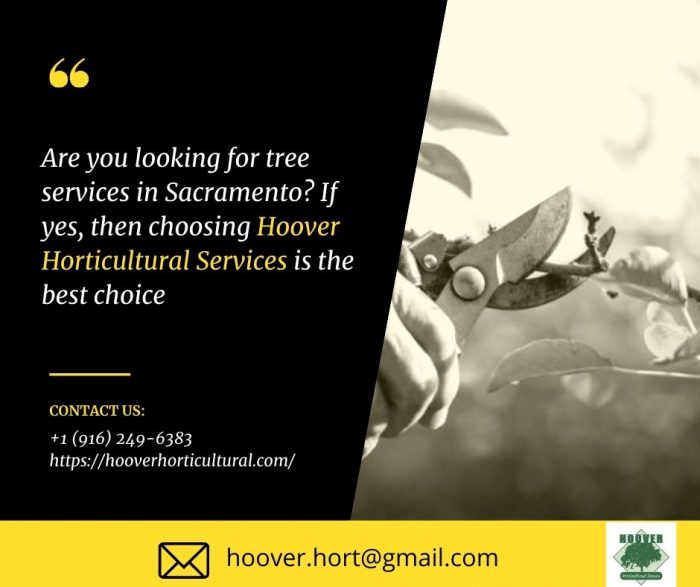 Tree Care & Landscape Design Expert in Sacramento