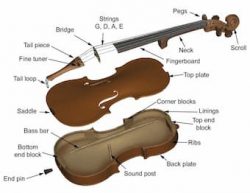 Minimalist Music | Instruments of the Orchestra – The Violin | Interlude