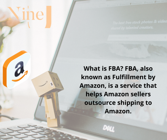 Do You Want To Sell On Amazon FBA?
