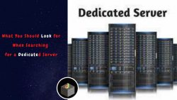 What You Should Look for When Searching for a Dedicated Server?
