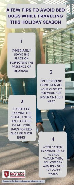 A Few Tips To Avoid Bed Bugs While Traveling This Holiday Season
