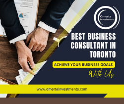 Best Business Consultant in Toronto