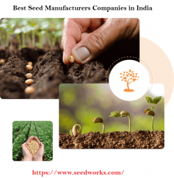 Best Seed Manufacturers Companies in India | SeedWorks