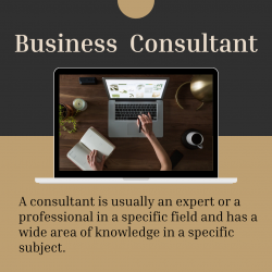 Reputable Business Consultant