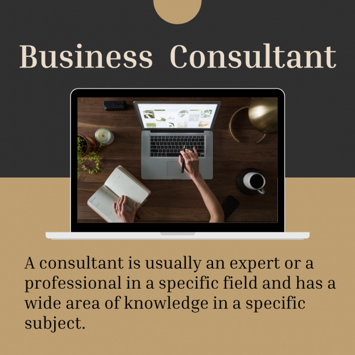 Reputable Business Consultant