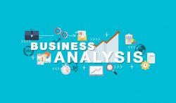 How Is The Business Analysis Done?