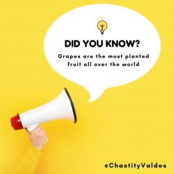 Chastity Valdes Shares Grapes Facts for Wine