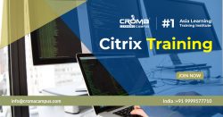 Citrix XenApp 7.6 Training Institute in Noida