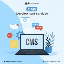 What are the Hiring Custom CMS Design and Development Services in India 2022?