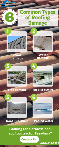 6 Common Types of Roofing Damage