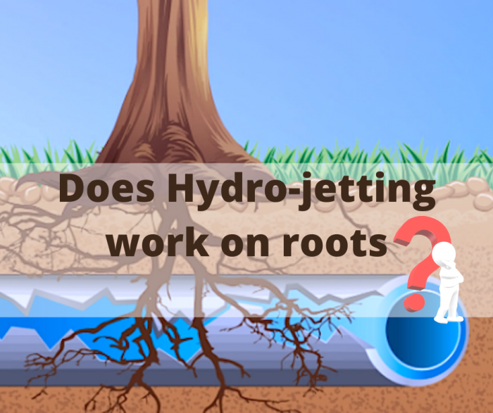 Does Hydro-jetting work on roots?