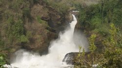 Murchison falls in Uganda