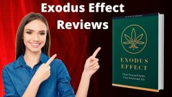 How to Use Exodus Effect Supplement?
