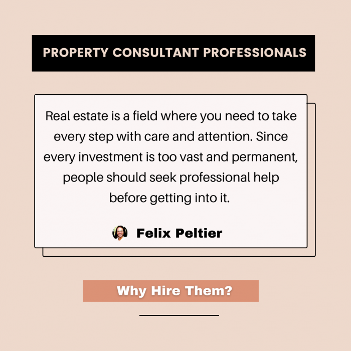 Felix Peltier – Why You Should Hire a Property Consultant?