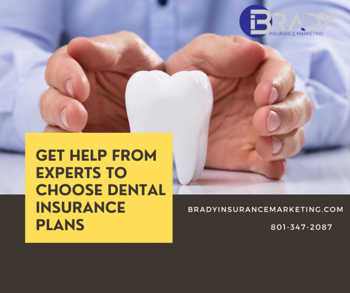Get Help From Experts To Choose Dental Insurance Plans