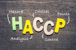 HACCP Food Safety Plan Services