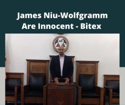 James Niu-Wolfgramm Are Innocent – Bitex