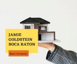 Jamie Goldstein Boca Raton help Individuals in Their Investment Planning