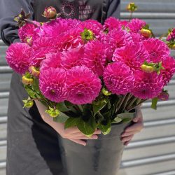 flower delivery Melbourne – The little market bunch