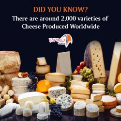 Restaurant Cheese Supplier in Cayman – Topimex Distributors