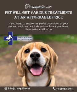 We have the Best vets in Kamloops who are committed to keeping pets healthy