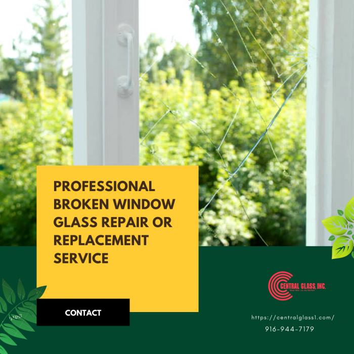 Professional Broken Window Glass Repair or Replacement Service