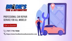 One Stop Shop for Auto Repair Services