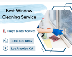 Professional Window Washers