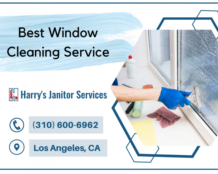 Professional Window Washers