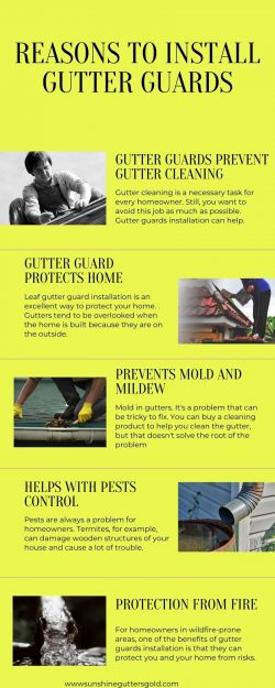 Reasons to Install Gutter Guards